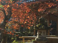 -常寂光寺