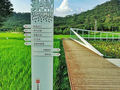 -艾米稻香小镇