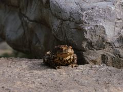 -青州市云门山风景区