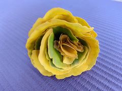 -辽宁大学(崇山校区)