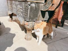 -终南山南五台景区