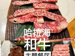 -哈拉海和牛主题餐厅(哈西店)