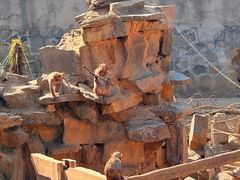 -太子山公园(园东路)