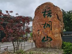 -梧桐山风景名胜区