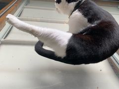 -猫的天空之城概念书店(杭州南宋御街店)