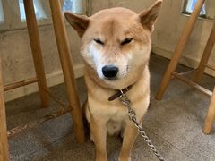-三目仓咖啡(贤南路店)