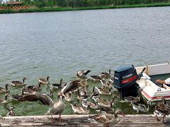 -南大港湿地风景区