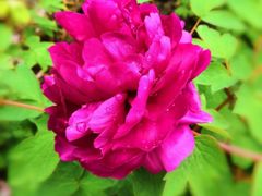 -合肥三国新城遗址公园