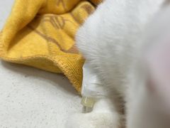 -派特宠物医院(圆融广场店)