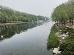 -马家湾湿地公园