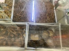 -金丹酱板鸭营业厅(紫缘路店)