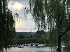 -二一九公园