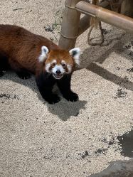 -Zoolung Zoolung动物主题公园(海信广场店)