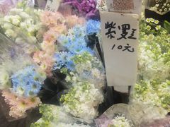-循礼门鲜花花市(武汉循礼门店)