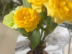 -O'eat Blossom&Pelican(深圳首店)