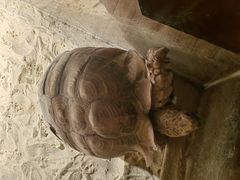 -绿色星球动物主题公园