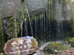 -望天鹅景区