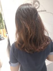 -潘多拉Hairsalon