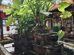 -园林美食城·本土农家菜(杨和镇店)