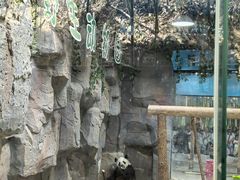 -栾川竹海野生动物园