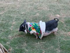 -台山颐和温泉城