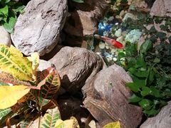 -清真·京华源铜锅涮肉(丰庆店)