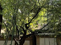 -陕拾叁(袁家村店)