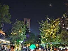 -铁像寺水街