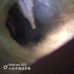 -探洞工场(重庆爱琴海旗舰店)