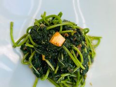 -止观小馆·辽河口渔家菜(王府井店)