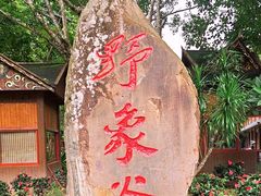 -野象谷景区