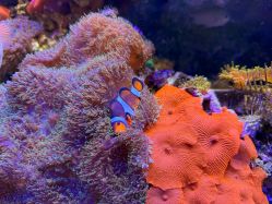 -Zoolung Zoolung动物主题公园(海信广场店)