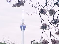 -红星桥(地铁站)