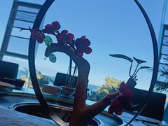-野菌皇海景野生菌火锅(滨海大道店)
