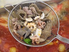 -周良天山牛杂城(天山路总店)