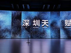 -深圳市当代艺术与城市规划馆
