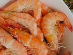 -天鹅到家·保姆月嫂育儿嫂(朝阳店)