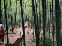 -南京市无想山景区