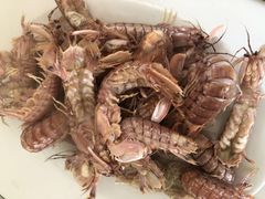 -常家活海鲜小吃(仅一家无分店)