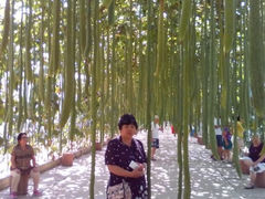 android_upload_pic-北戴河集发农业梦想王国