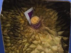 -华西龙希大酒店旅游观光区