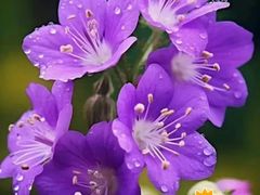 -莞府家宴·东莞菜(市民服务中心店)