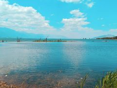 -洱海月湿地公园