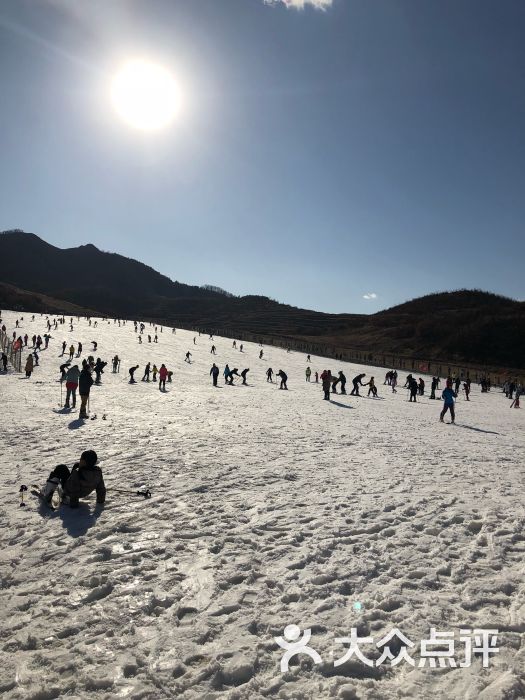 林山滑雪场-图片-海阳市周边游-大众点评网