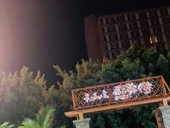 -墨脱石锅椰子鸡•香草鸭•东山羊(大东海店)