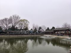 -尚庄度假村·庭台树下·户外烧烤·团建CS·轰趴营地(上庄水库店)