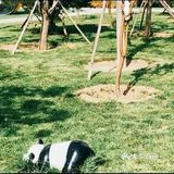 一个孩子去了都会喜欢的乐园[礼花][亲亲]