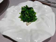-子福慧(虹桥店)