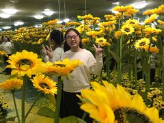 -天津梵高星空艺术馆(天河城旗舰店)