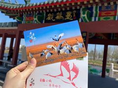 -黑龙江扎龙生态旅游区